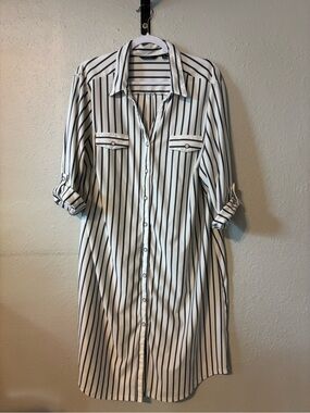 Mlle Gabrielle Black and White Striped Shirt Dress